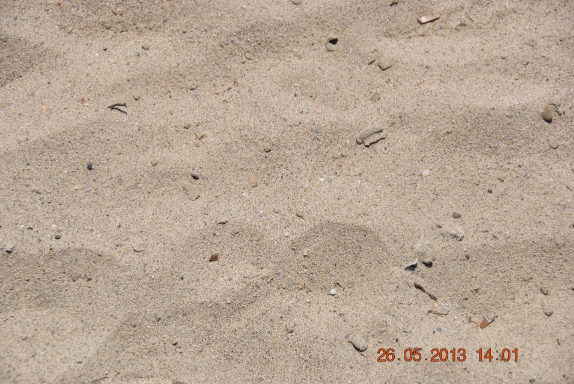 imagini hotel PALM WINGS KUSADASI